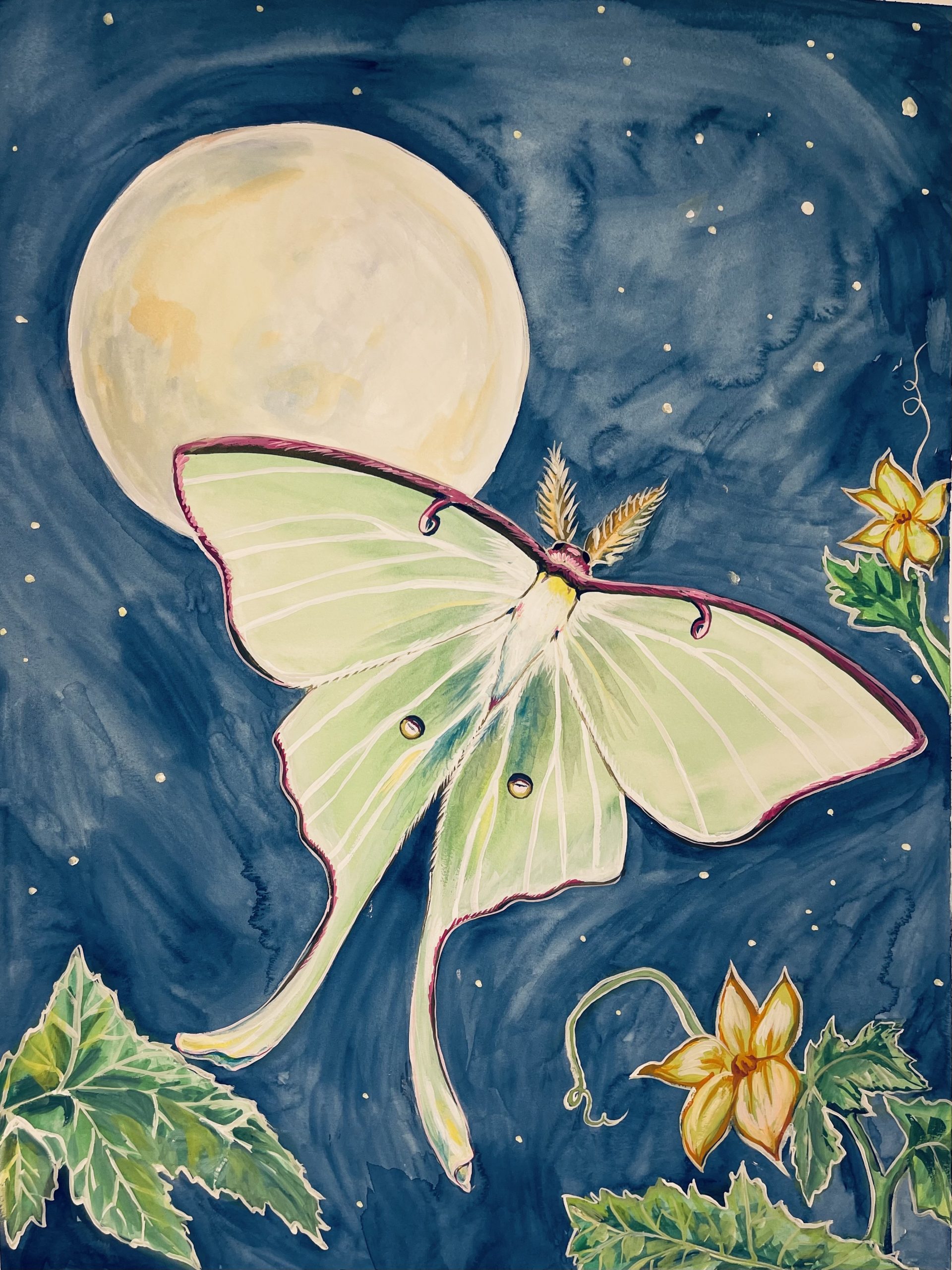 Watercolor of the Seasons Moon Phases and the Luna Moth